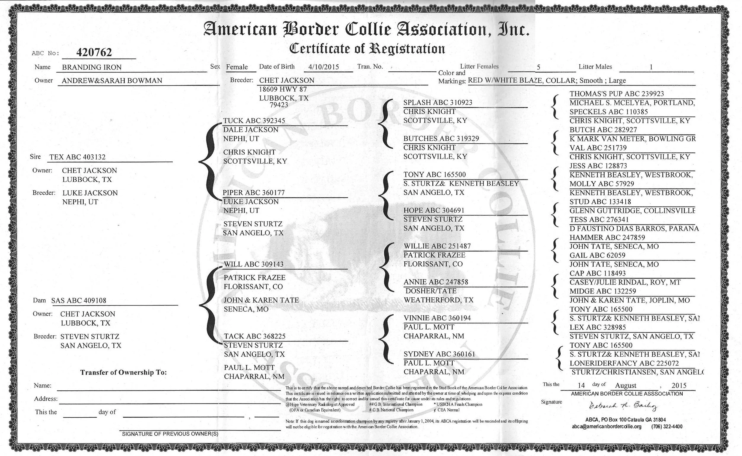 Click to enlarge