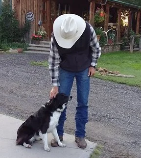 sadie2.jpg