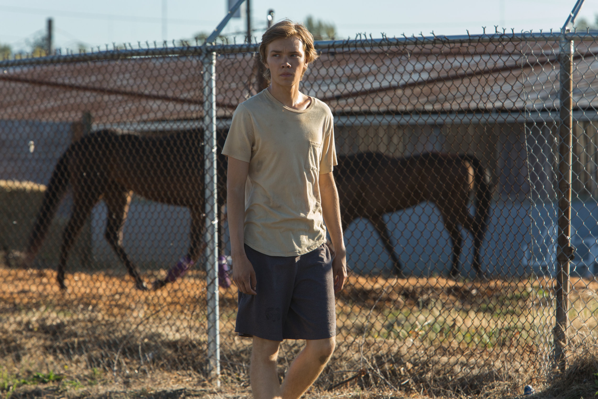 Lean on Pete - A24