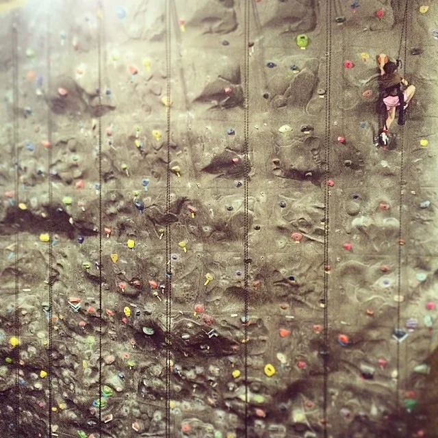 Karlee, 5-years old climbing at 30 feet.