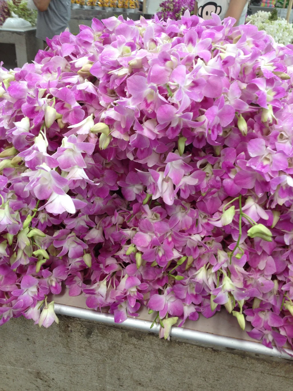 Pile of Orchids–$1 USD for a large bunch.