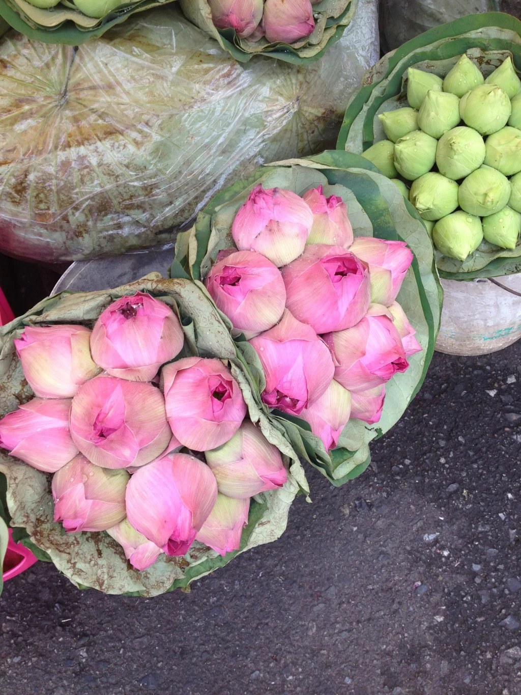 Fresh Lotus Flowers–I’d never seen these in such abundance.
