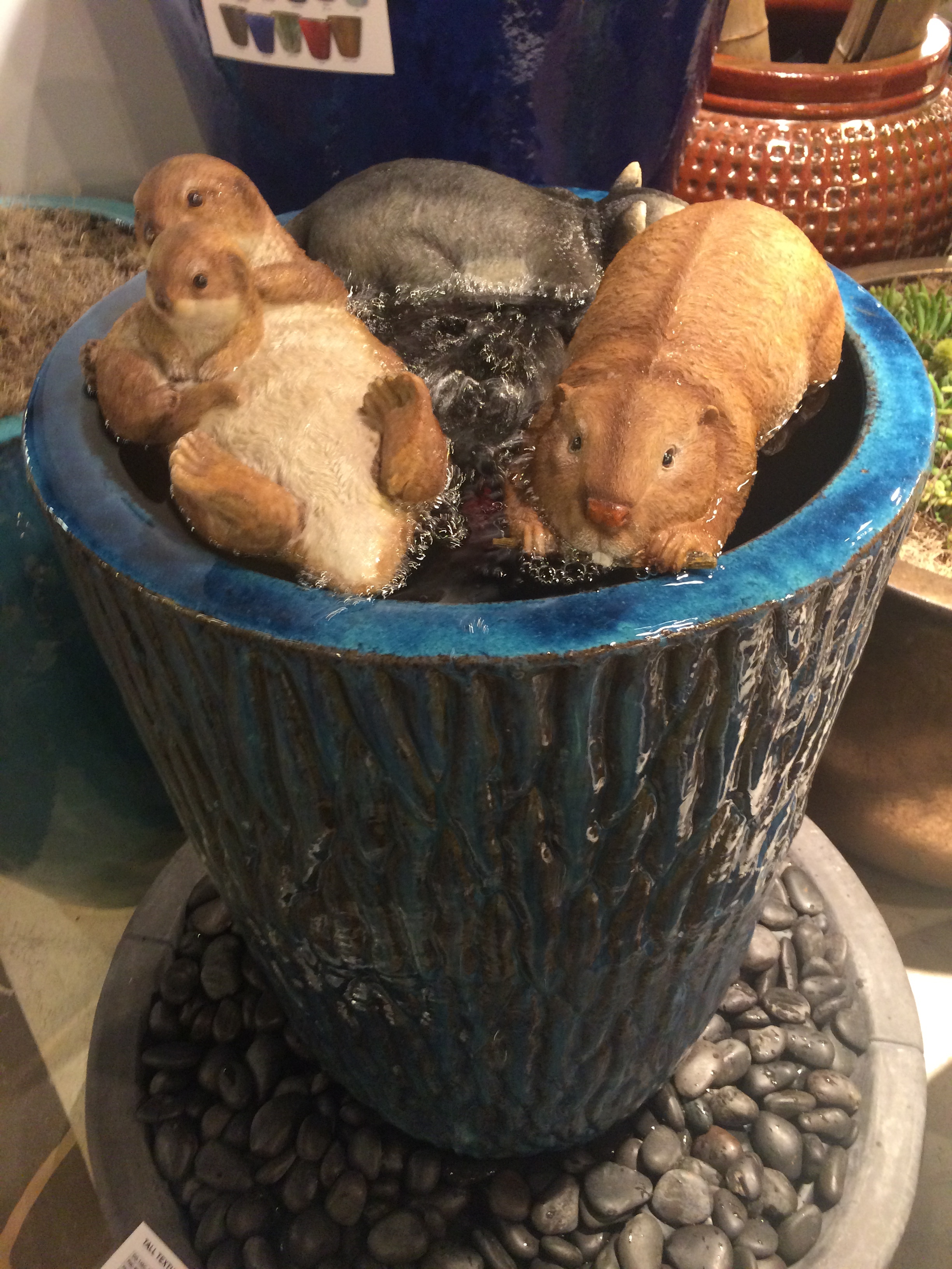 Not everything's a winner. You won't be finding this one at The Trove...