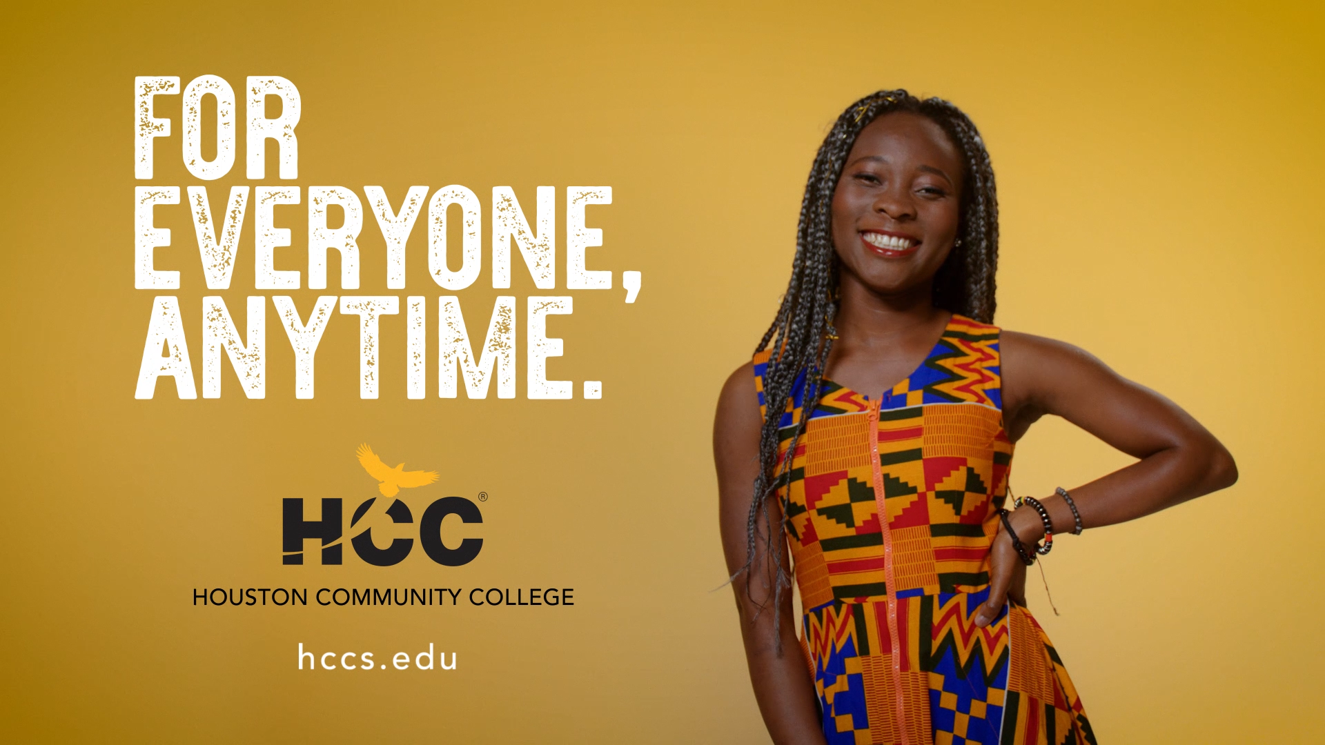 hcc4.png