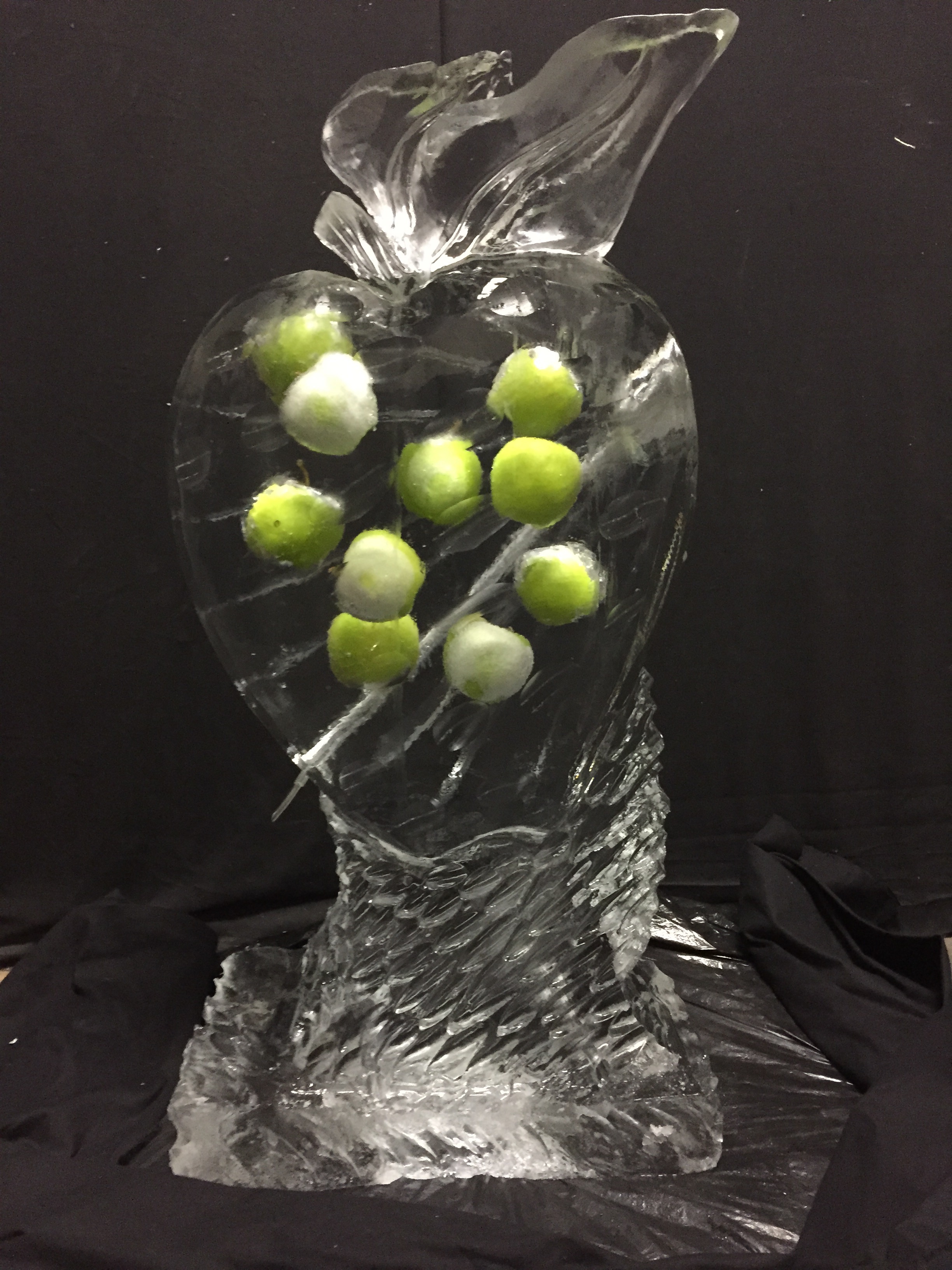 Ice Luge_Apple.jpg