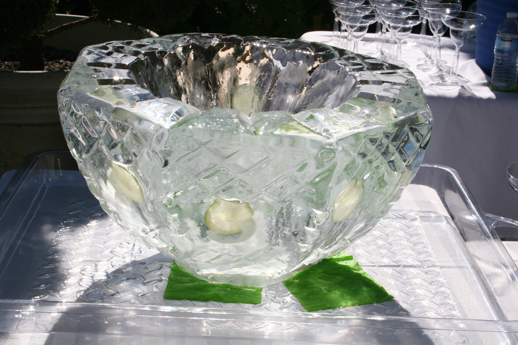 Ice Bowl Lemons.JPG