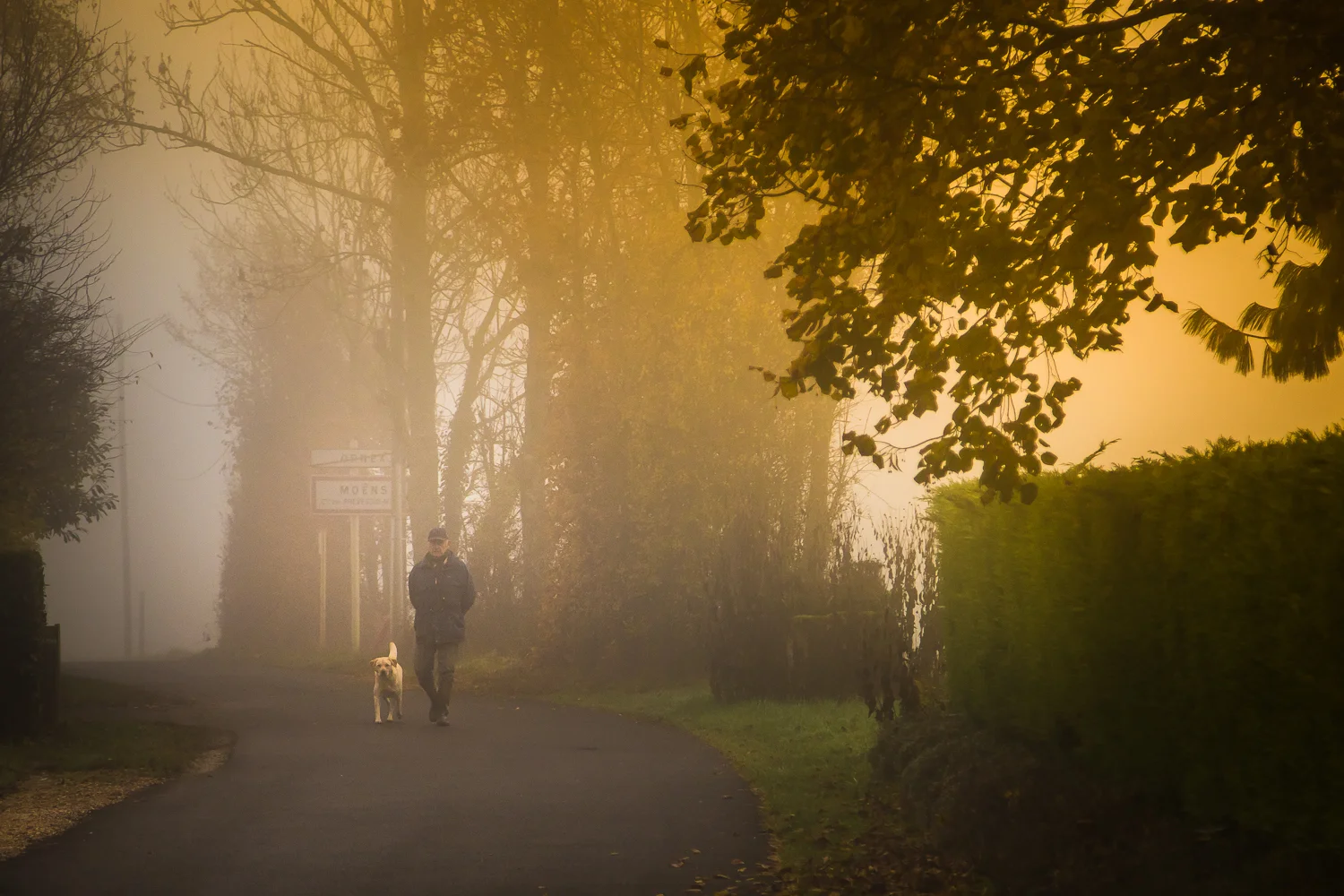 Landscapes 0010.jpg