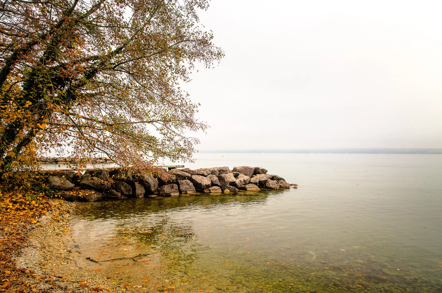 Landscapes 0012.jpg