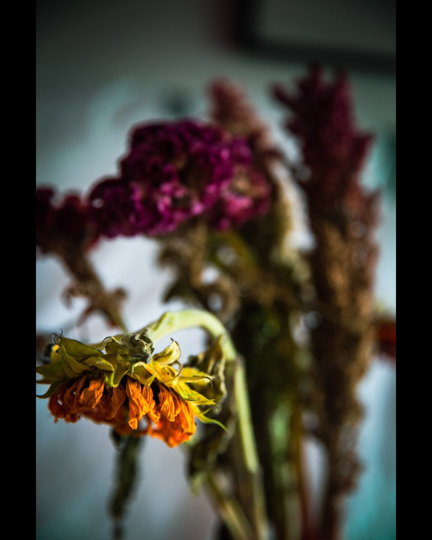 From my &quot;Still Life&quot; Series: Where things are arranged in a nice manner and makes you believe that things can get better... can they?

#stilllife #shelves #thoughtful #still_life #stillifephotography #stilllifephotographyathome #stilllifeph