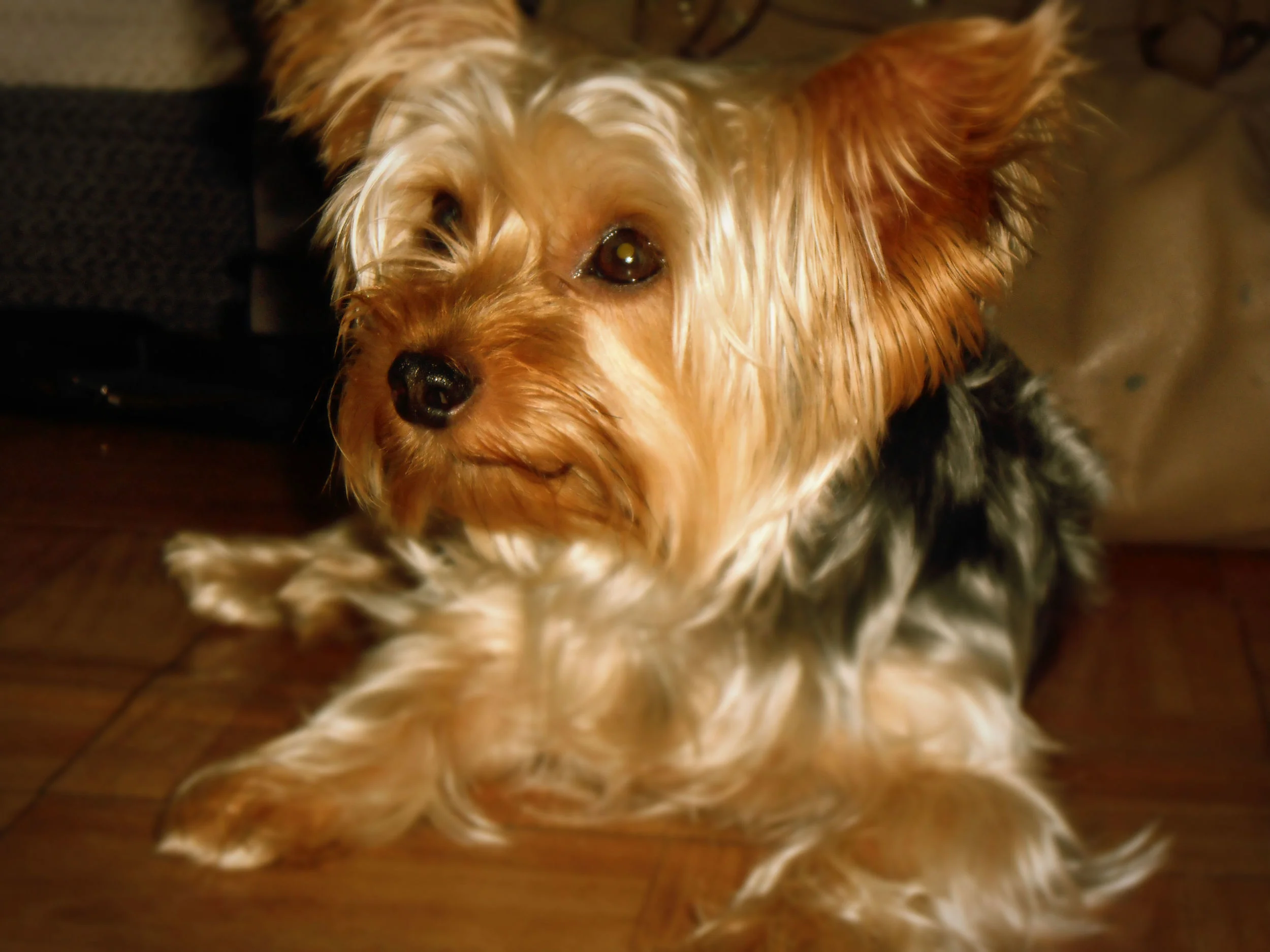 DSCN41274598.jpg