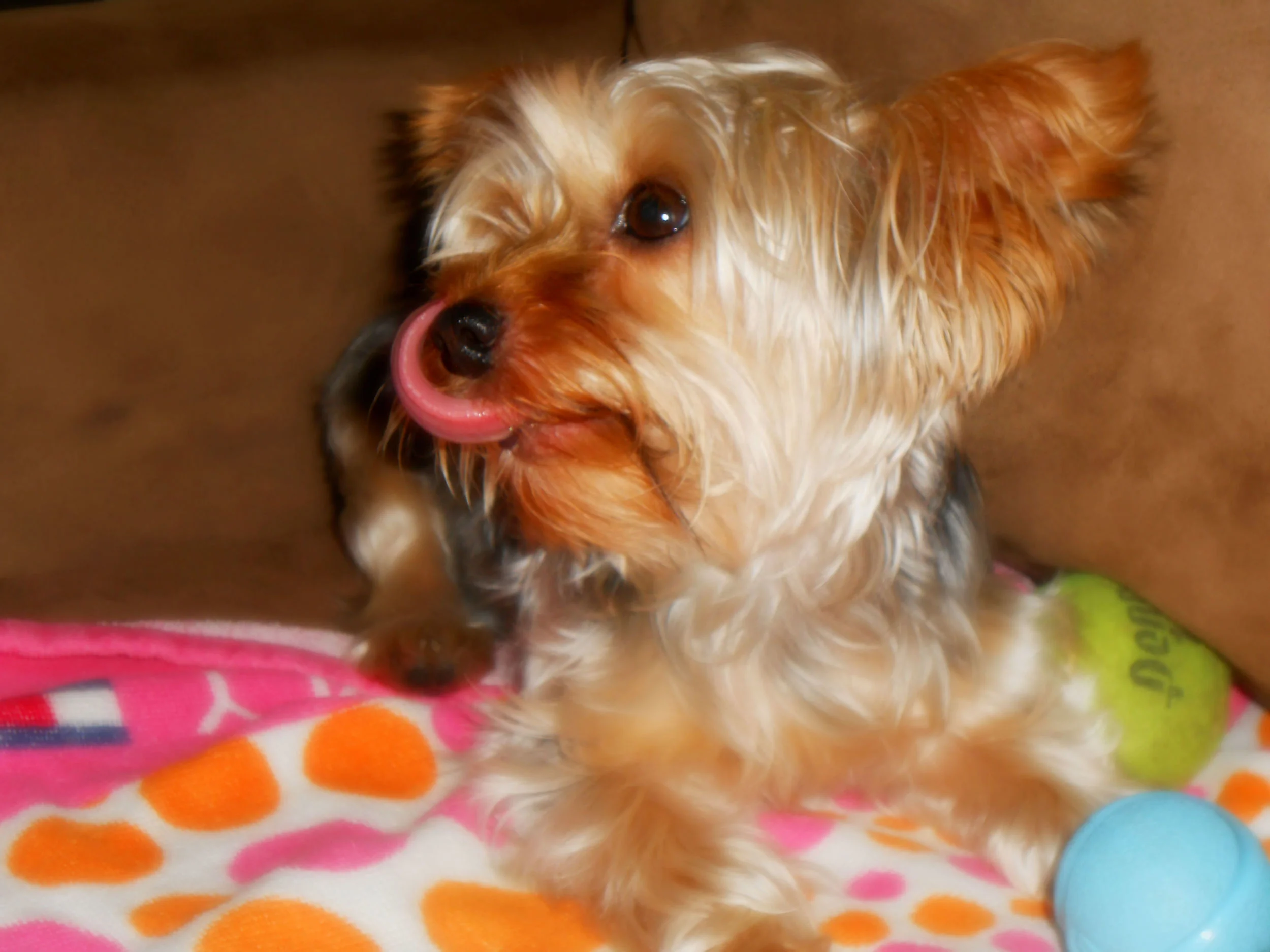 DSCN408456.jpg