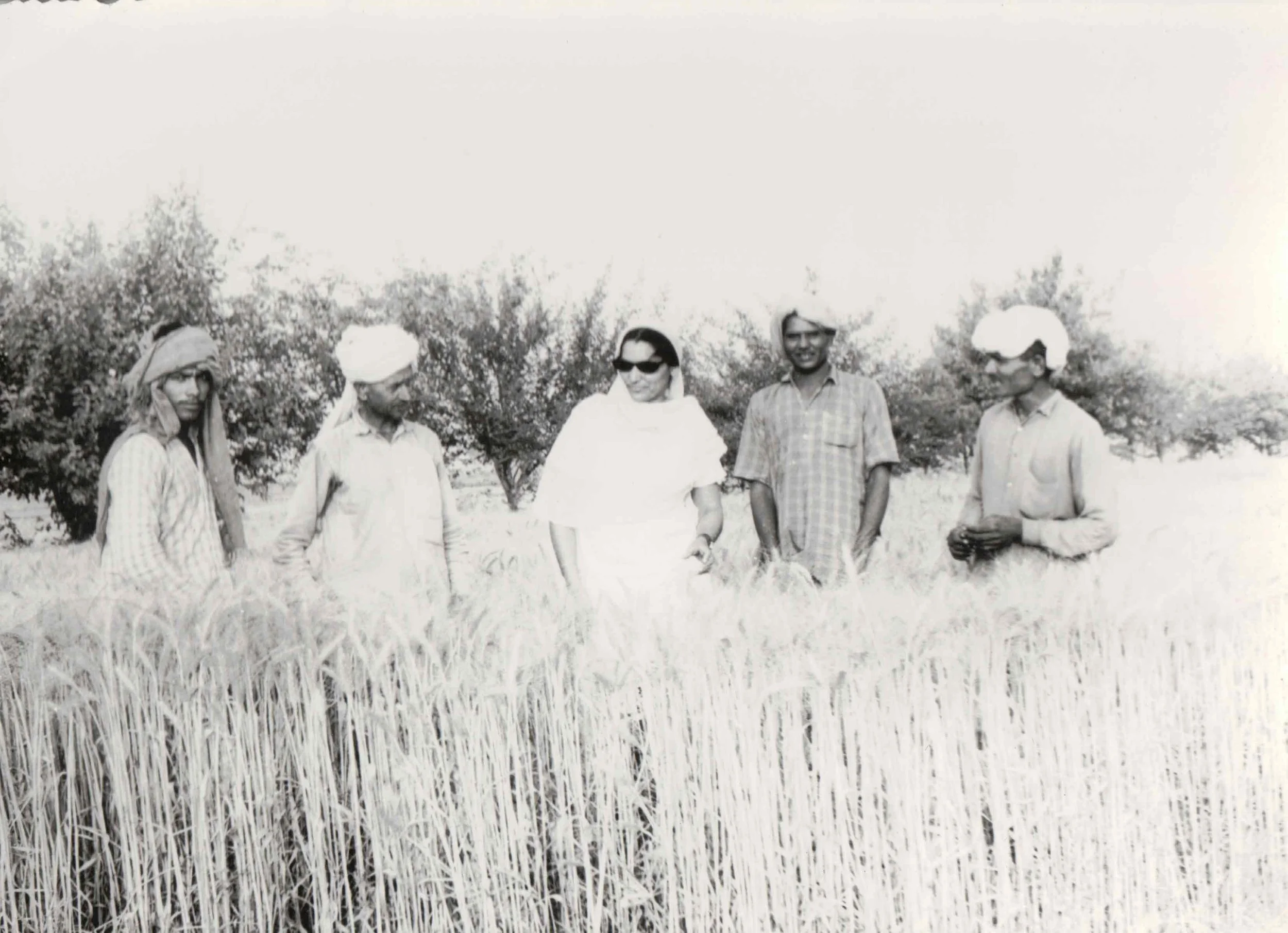 Supporting farmers