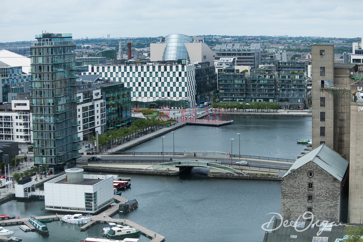 Dee Organ Photography-027-9711.jpg
