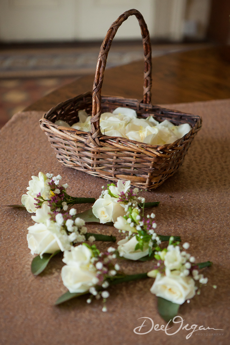 Dee Organ Photography-028-8735.jpg