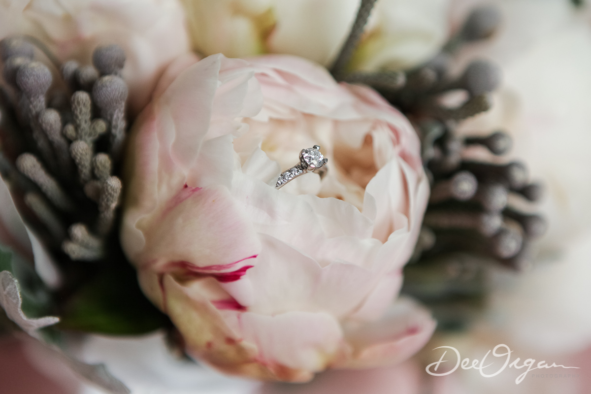 Dee Organ Photography-010-2328.jpg