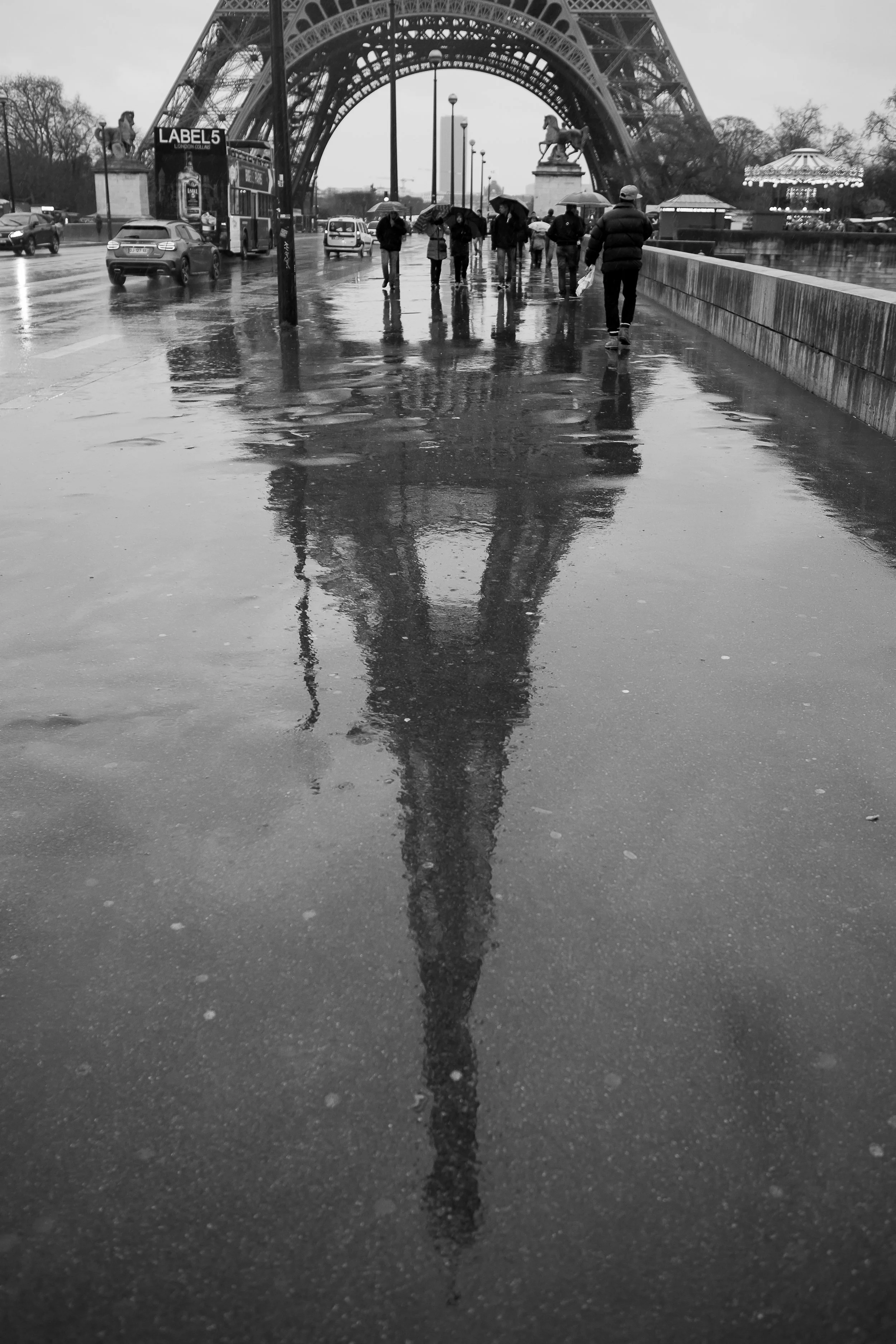 Dee Organ Photography-192-IMG_3470.jpg