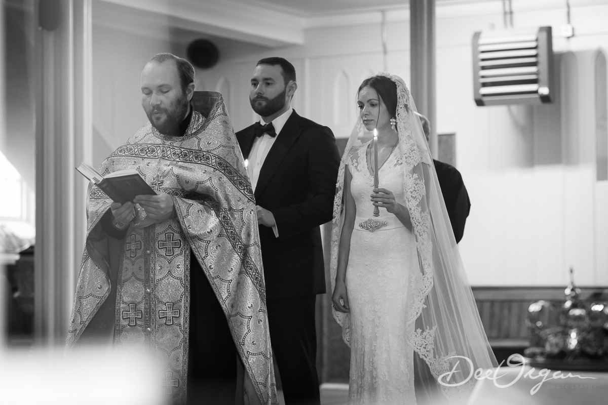 Dee Organ Photography-049-1063.jpg
