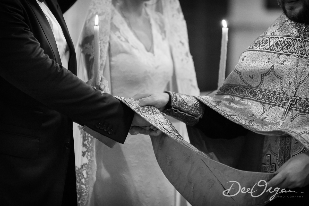 Dee Organ Photography-082-1136.jpg