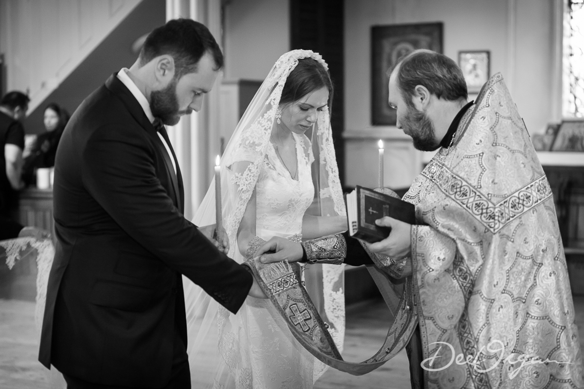 Dee Organ Photography-025-1028.jpg