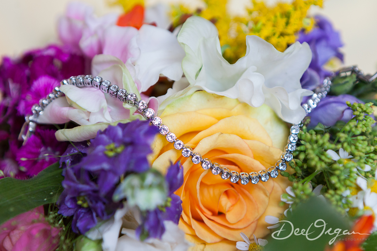Dee Organ Photography-032-2968.jpg