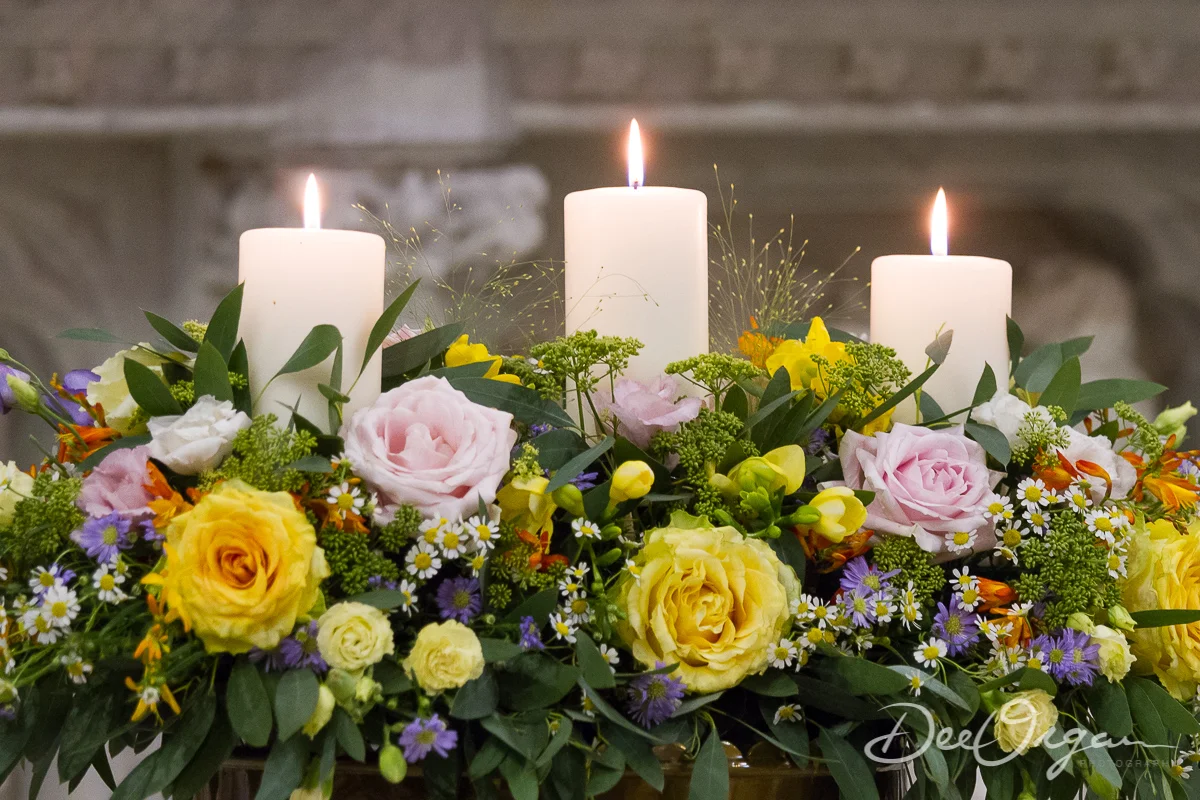 Dee Organ Photography-124-0044.jpg