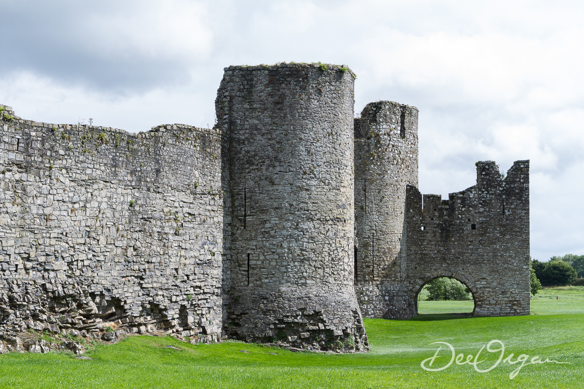 Dee Organ Photography-494-.jpg