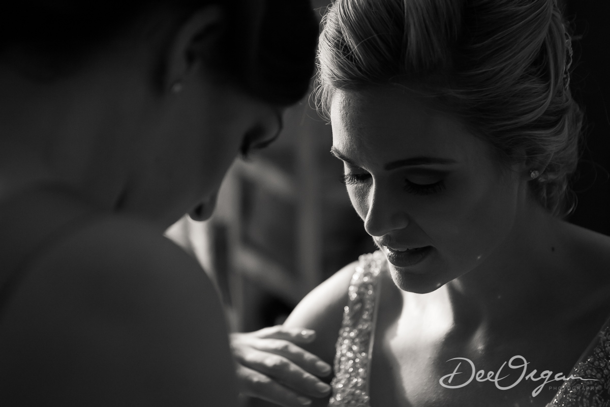 Dee Organ Photography-090-7327.jpg