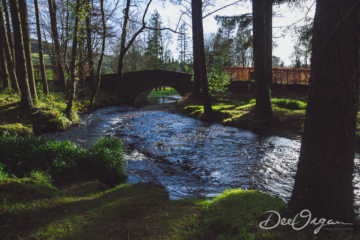 Dee Organ Photography-004-1622.jpg