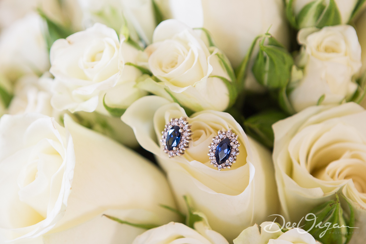 Dee Organ Photography-027-7186.jpg