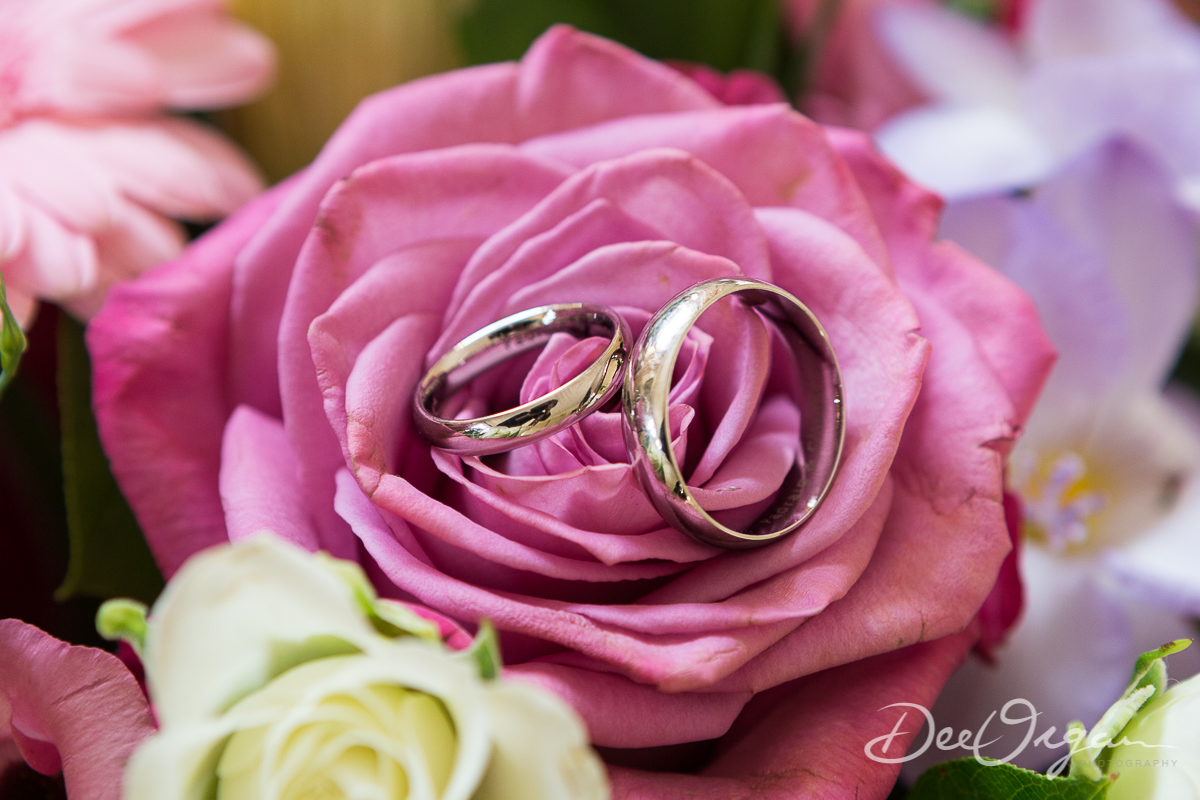 Dee Organ Photography-029-7194.jpg