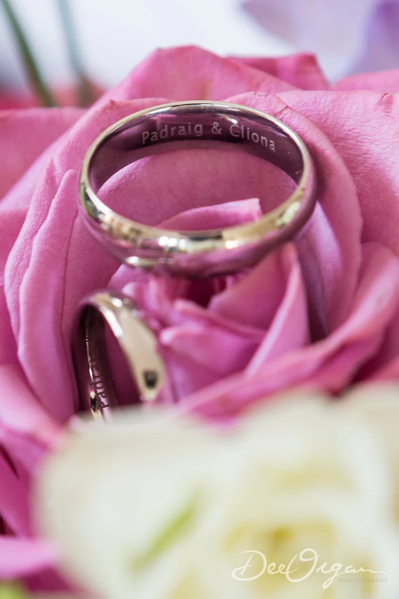 Dee Organ Photography-030-7200.jpg