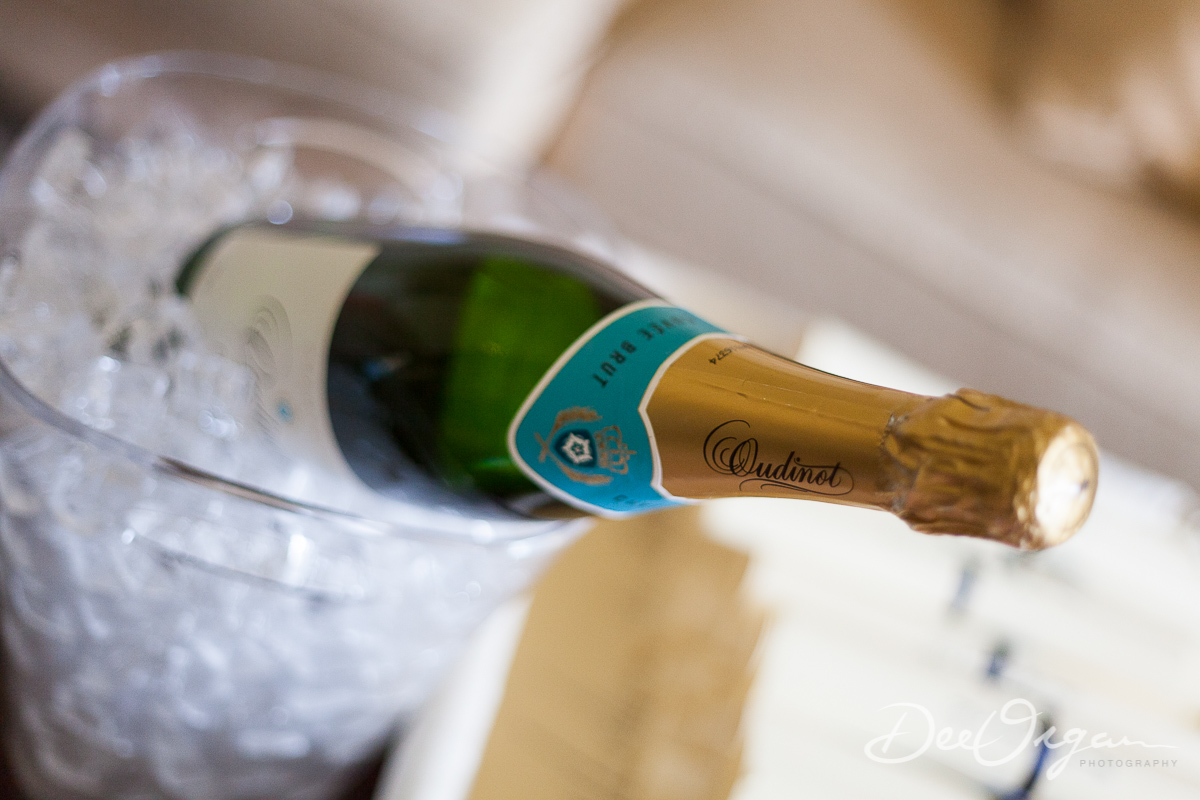 Dee Organ Photography-034-5848.jpg