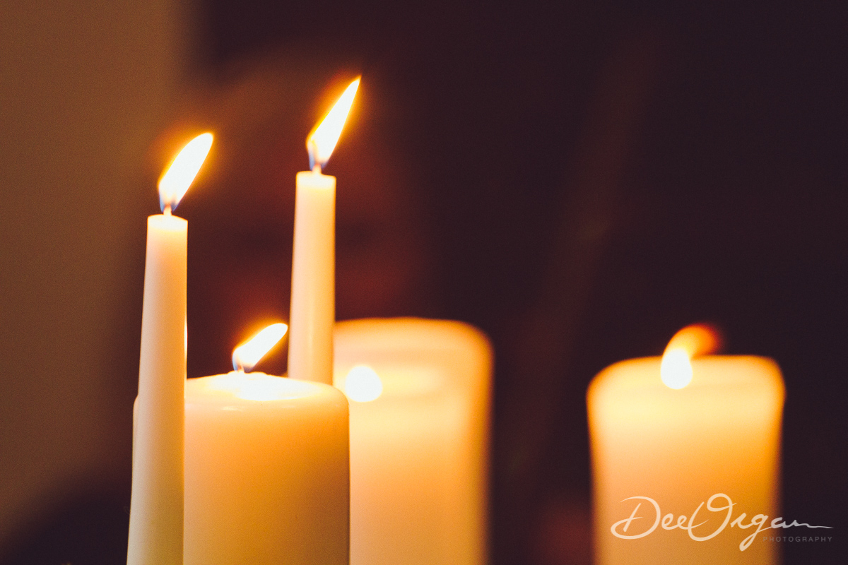 Dee Organ Photography-188-9947.jpg
