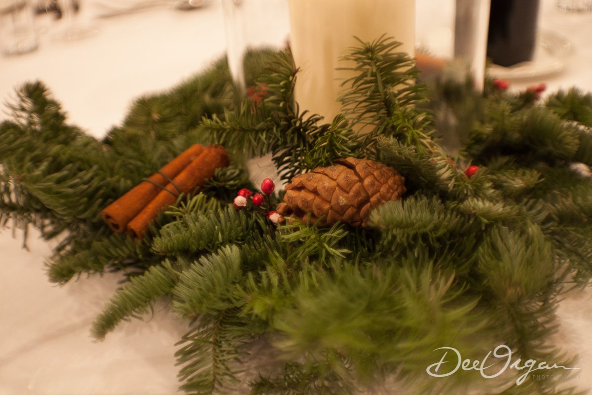 Dee Organ Photography-425-6189.jpg