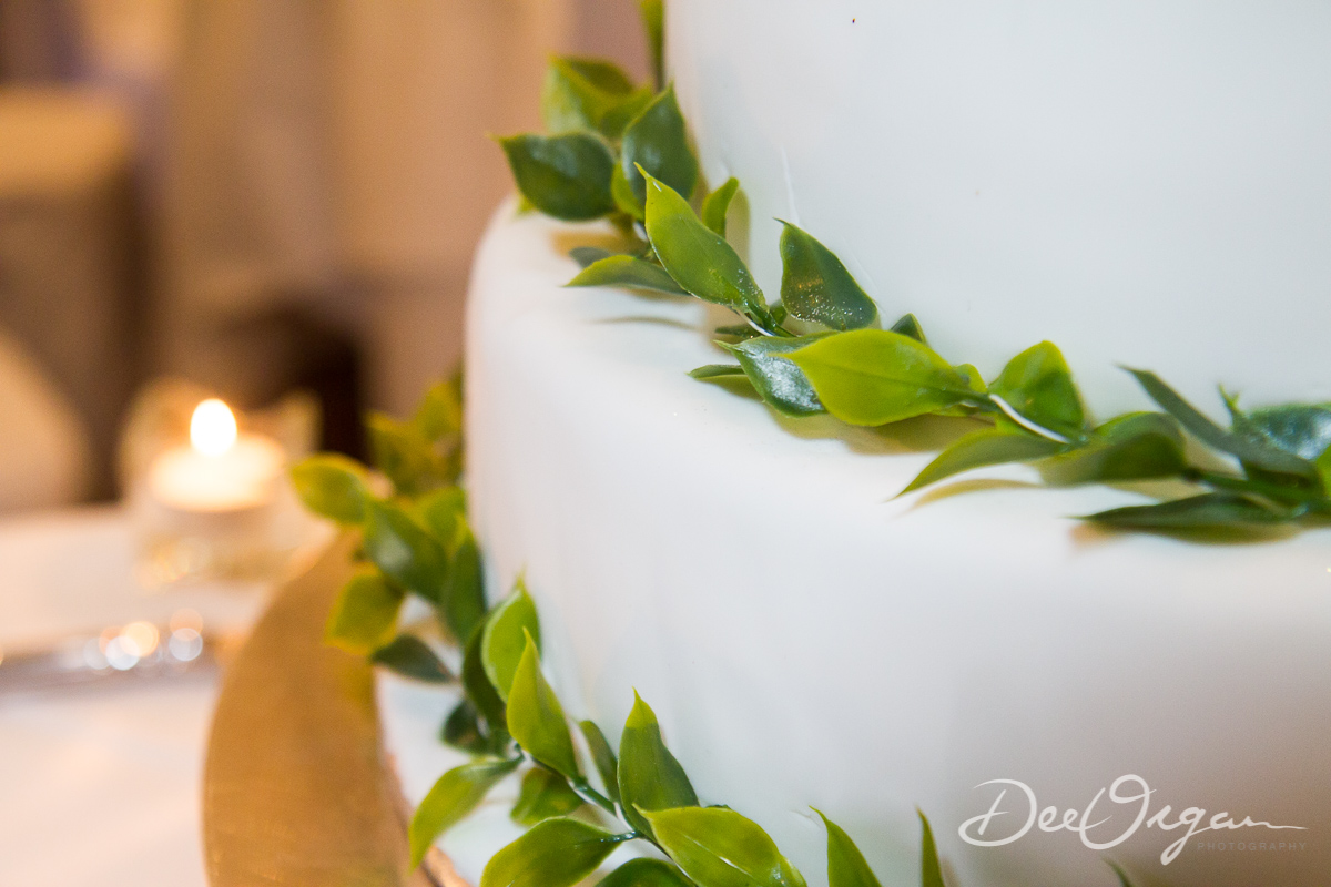 Dee Organ Photography-431-2141.jpg