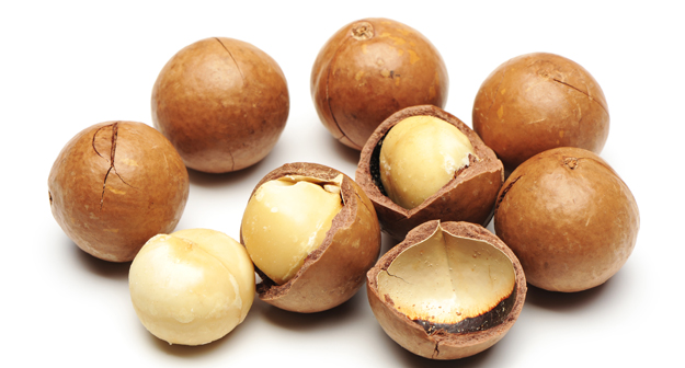 Organic Macadamia