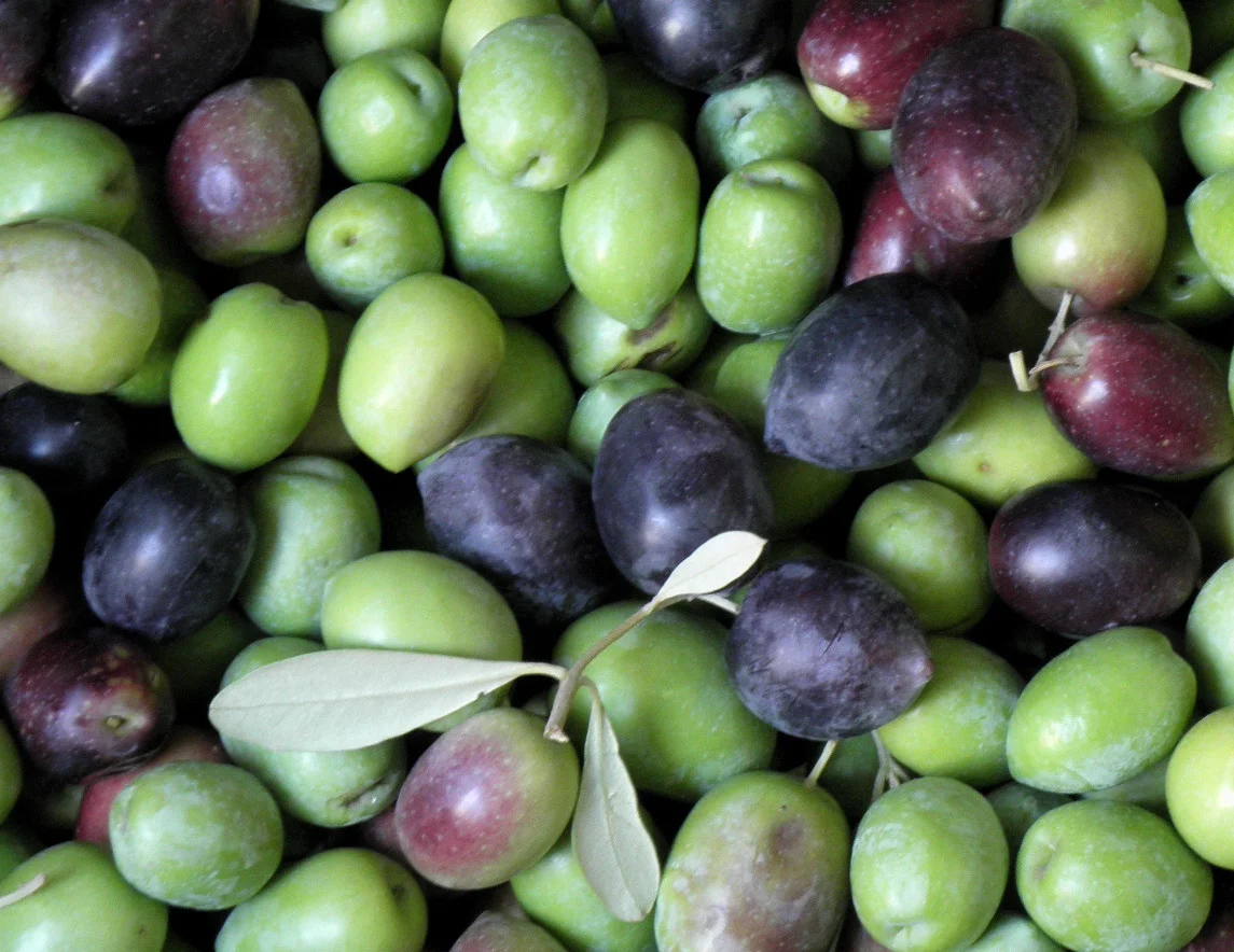 fused vs. uninfused: what's the difference? With fused olive oils, the olives are crushed along with the fruit or vegetable during the extraction process to gain a greater depth of flavor. Uninfused olive oils do not have a specific flavor; depending on the conditions they are grown in, uninfused olive oils have different notes and finishes.