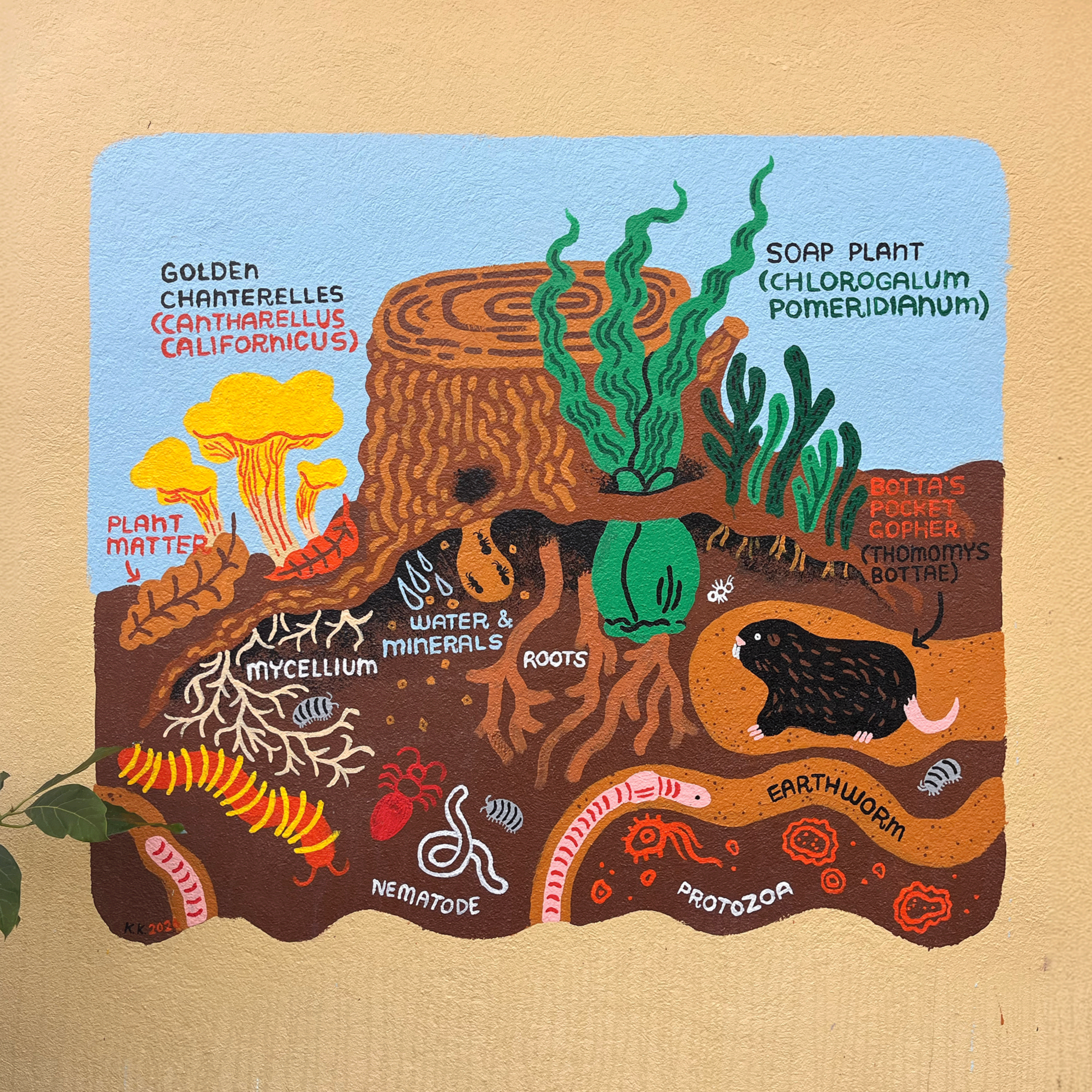 Educational Garden Murals