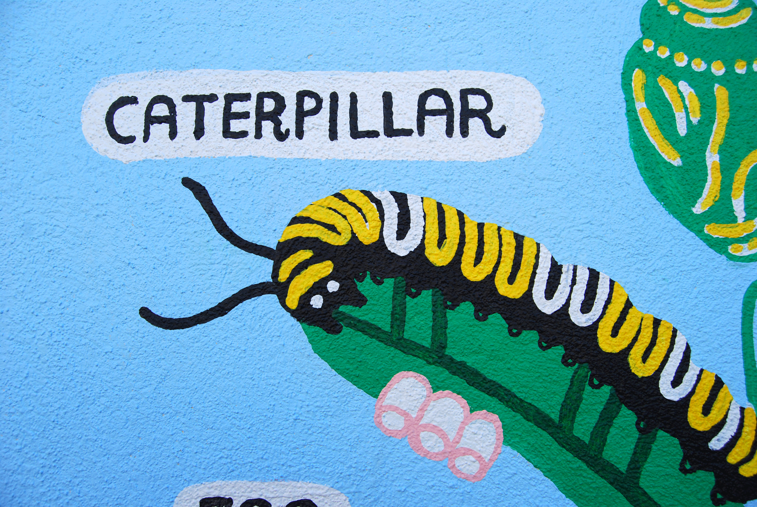 Educational Garden Murals