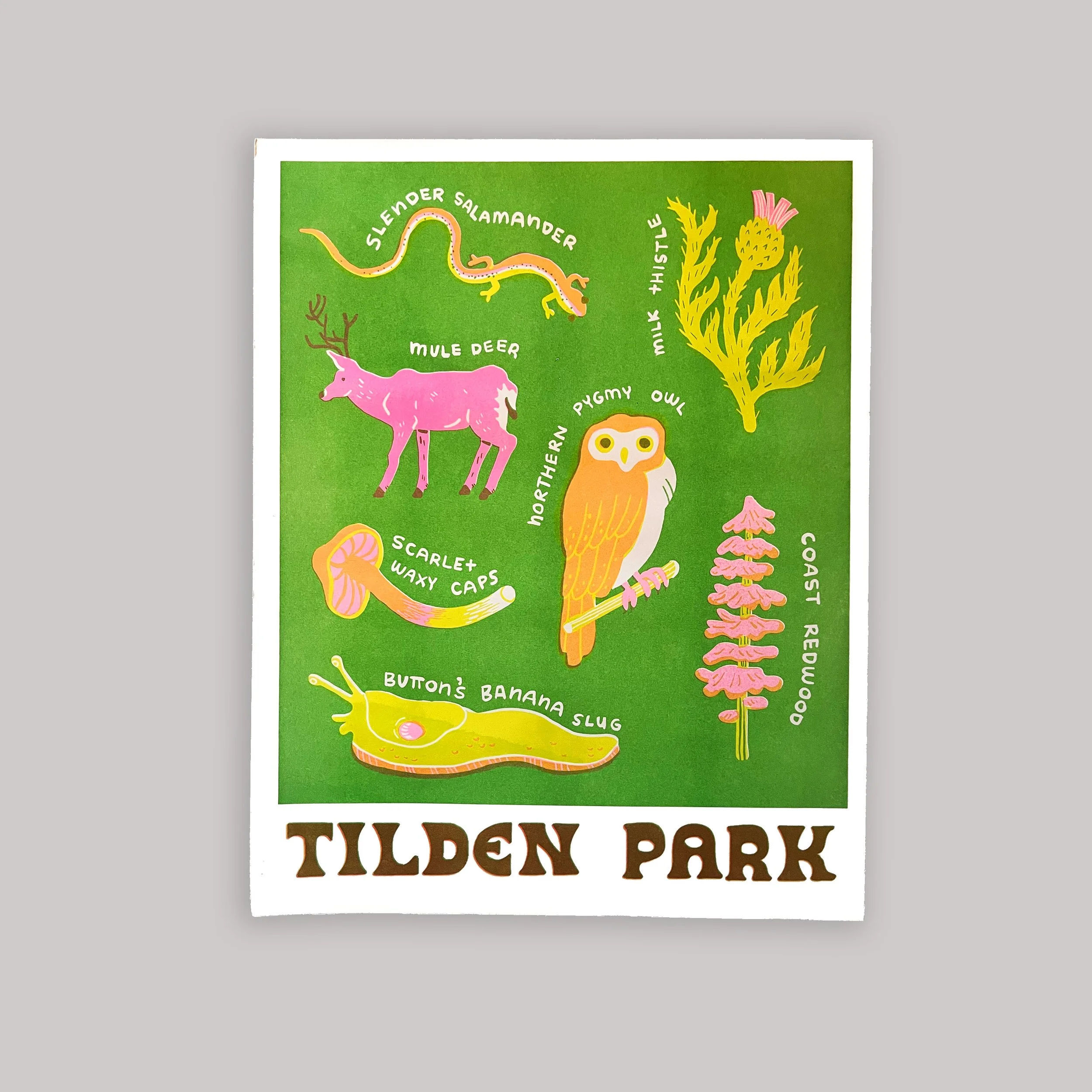 Tilden.jpg