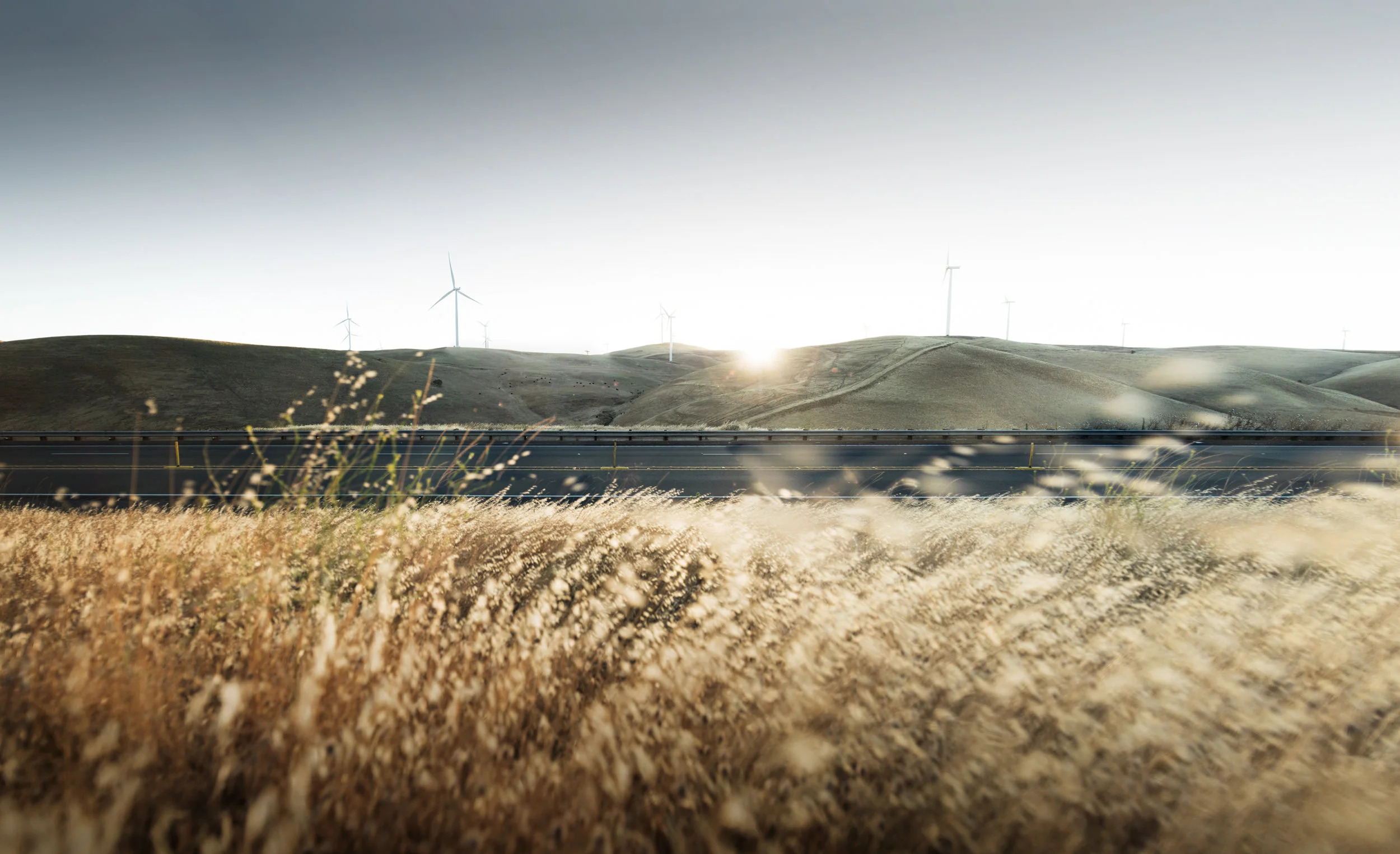 20160626_Altamont_6534684 Panorama-4.jpg