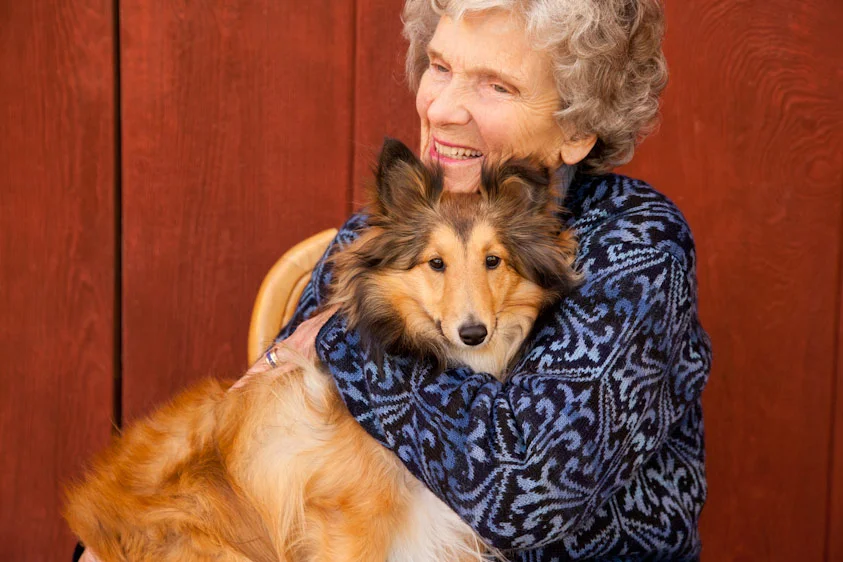 Dog_Photography_29.jpg