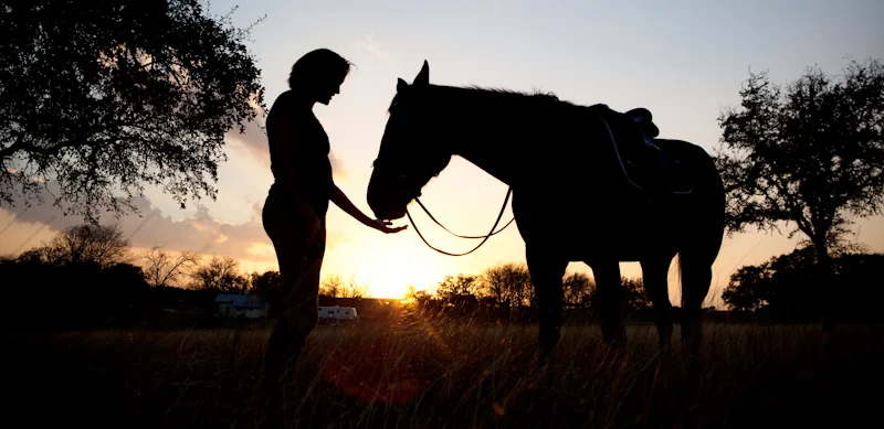 Horse_Photography-30.jpg