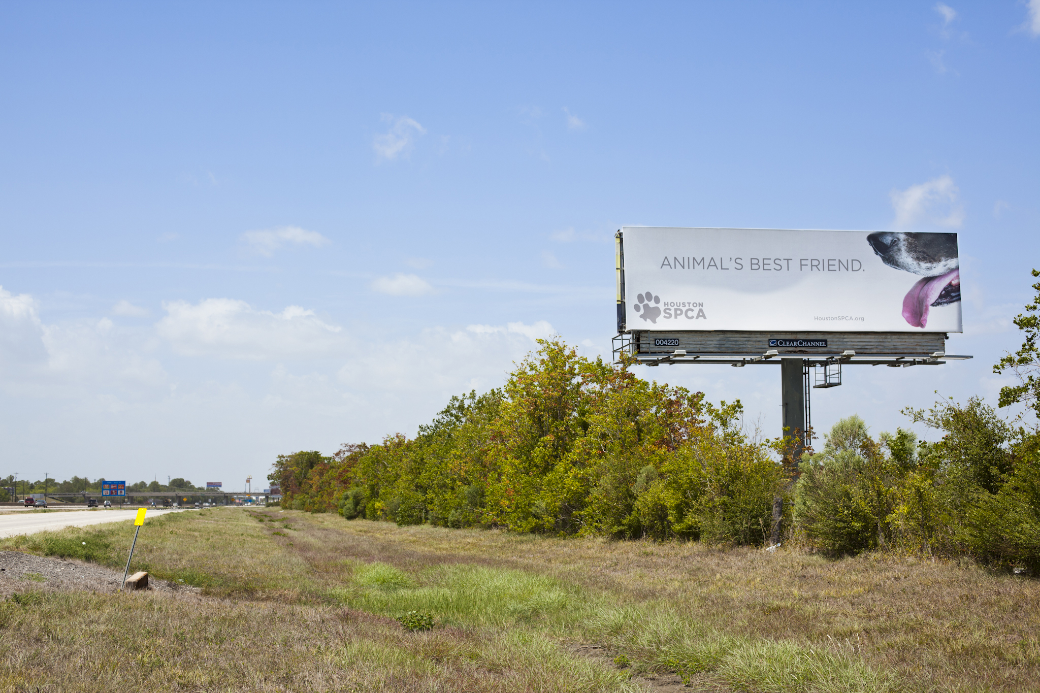 Houston SPCA Billboard