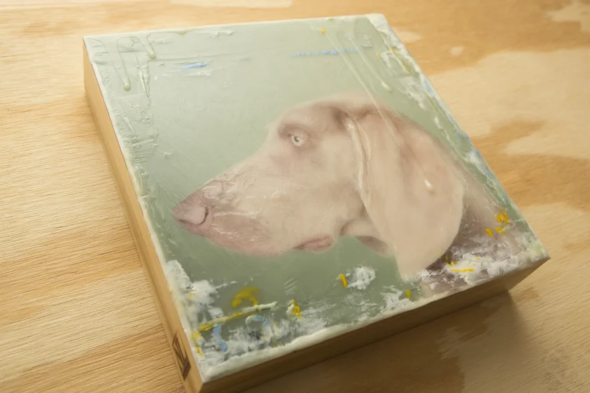 Dog01.03125.20131210-4.jpg
