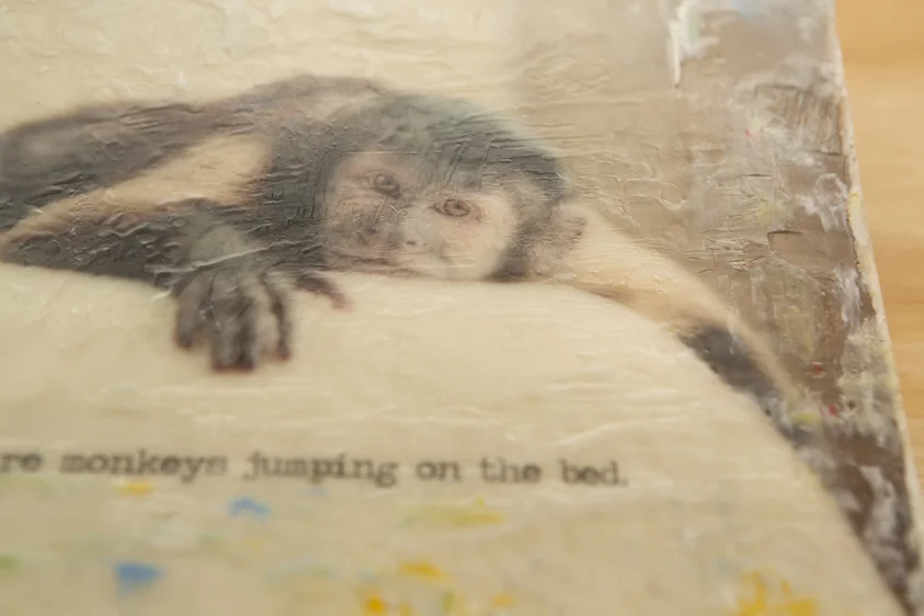 Monkey01.01125.20131212-2.jpg