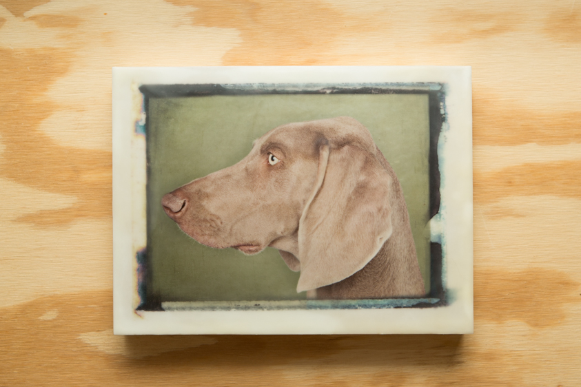 Dog#1-003-9x12-10.jpg