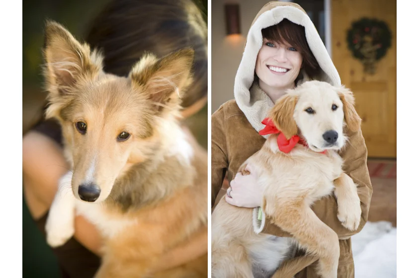 Dog Portraits-24.jpg