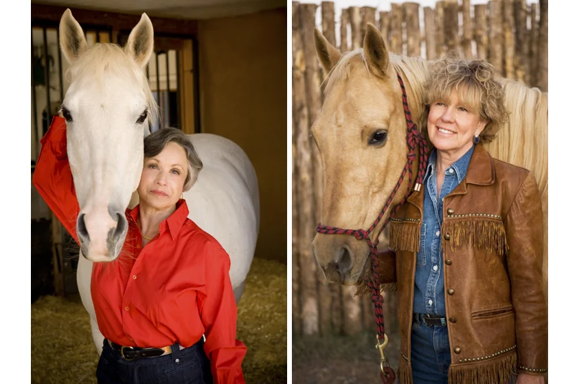 Horse Portraits-4.jpg