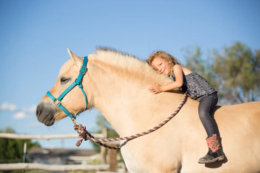 Horse Portraits-17.jpg